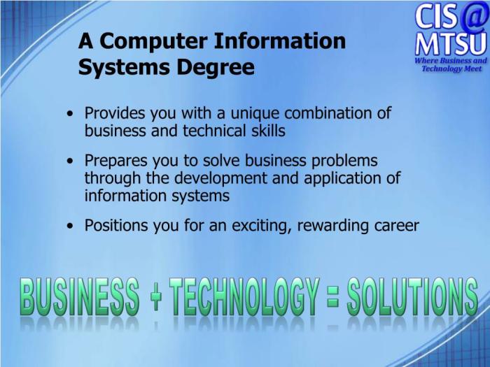 PPT - Computer Information Systems PowerPoint Presentation, free ...